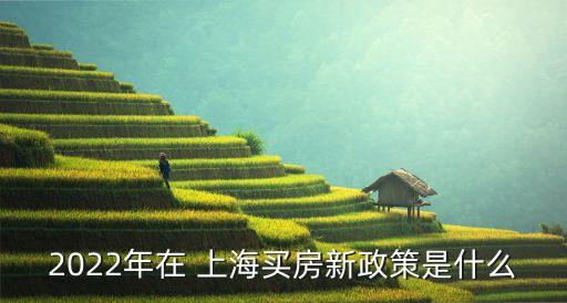 2022年在 上海買(mǎi)房新政策是什么