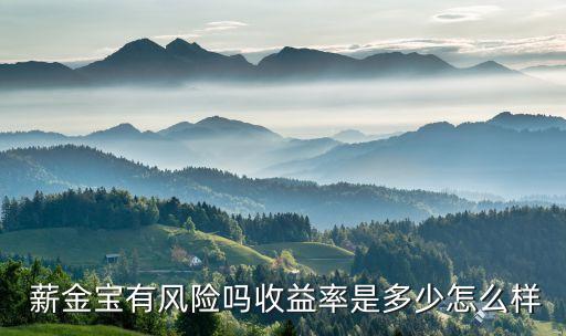  薪金寶有風險嗎收益率是多少怎么樣