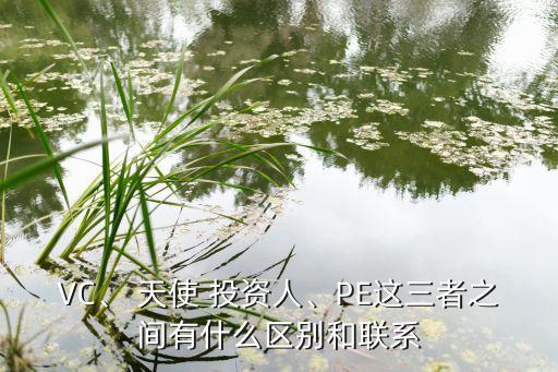 VC、 天使 投資人、PE這三者之間有什么區(qū)別和聯(lián)系