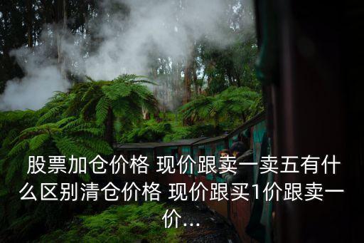  股票加倉價(jià)格 現(xiàn)價(jià)跟賣一賣五有什么區(qū)別清倉價(jià)格 現(xiàn)價(jià)跟買1價(jià)跟賣一價(jià)...