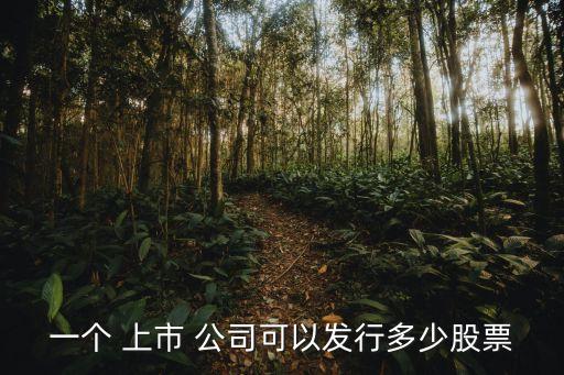 一個 上市 公司可以發(fā)行多少股票