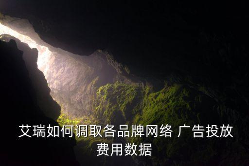  艾瑞如何調(diào)取各品牌網(wǎng)絡(luò) 廣告投放費用數(shù)據(jù)