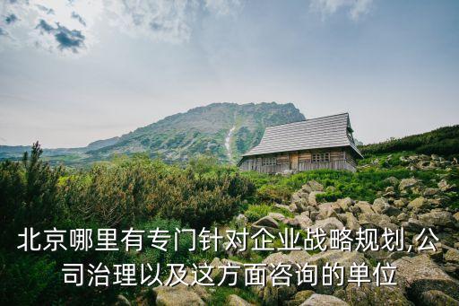 北京哪里有專(zhuān)門(mén)針對(duì)企業(yè)戰(zhàn)略規(guī)劃,公司治理以及這方面咨詢(xún)的單位