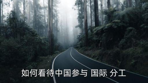 如何看待中國參與 國際 分工