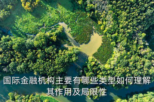 國際金融機(jī)構(gòu)主要有哪些類型如何理解其作用及局限性