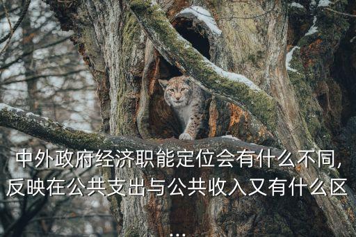 中外政府經(jīng)濟(jì)職能定位會有什么不同,反映在公共支出與公共收入又有什么區(qū)...