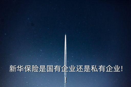新華資產(chǎn)投資管理有限公司,臨潭縣盛潭資產(chǎn)投資管理集團有限公司
