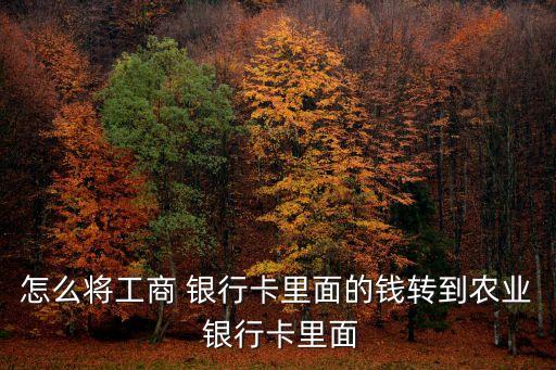 怎么將工商 銀行卡里面的錢(qián)轉(zhuǎn)到農(nóng)業(yè) 銀行卡里面