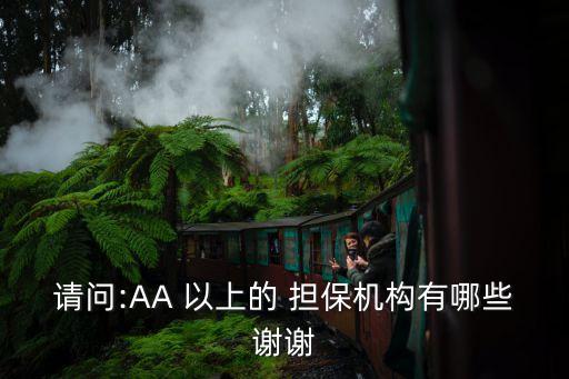 請(qǐng)問(wèn):AA 以上的 擔(dān)保機(jī)構(gòu)有哪些謝謝