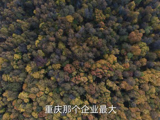  重慶那個企業(yè)最大