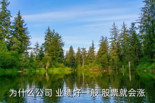 股票要買(mǎi)業(yè)績(jī)好的嗎,為什么要買(mǎi)業(yè)績(jī)好的股票
