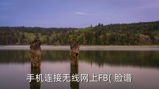 手機(jī)連接無線網(wǎng)上FB( 臉譜