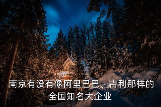  南京有沒有像阿里巴巴、吉利那樣的全國知名大企業(yè)