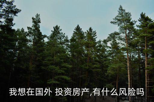 我想在國外 投資房產(chǎn),有什么風(fēng)險(xiǎn)嗎