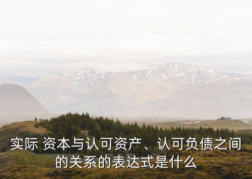實(shí)際 資本與認(rèn)可資產(chǎn)、認(rèn)可負(fù)債之間的關(guān)系的表達(dá)式是什么