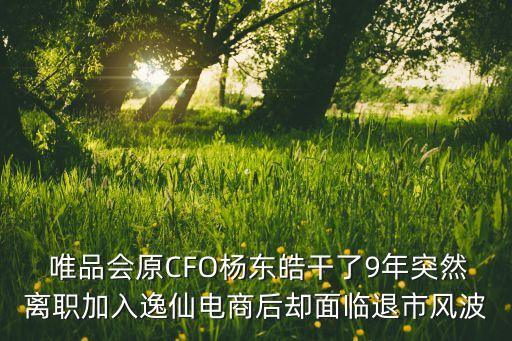 唯品會(huì)是誰投資的