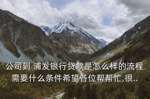 浦發(fā)銀行的財務(wù)報表