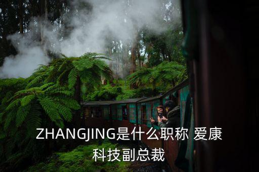 江蘇愛康實(shí)業(yè)有限責(zé)任公司,江蘇大漢建設(shè)實(shí)業(yè)集團(tuán)有限責(zé)任公司董事長