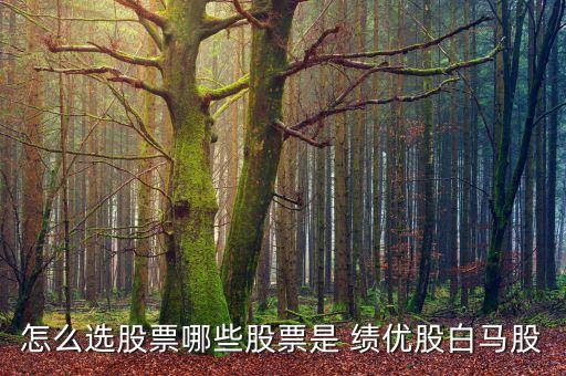 績優(yōu)型公司,績優(yōu)公司什么意思