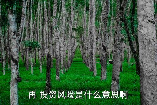 再 投資風(fēng)險(xiǎn)是什么意思啊