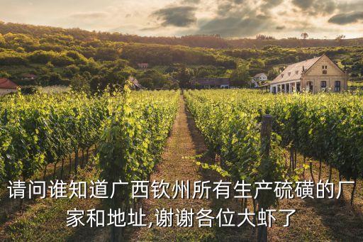 請問誰知道廣西欽州所有生產(chǎn)硫磺的廠家和地址,謝謝各位大蝦了