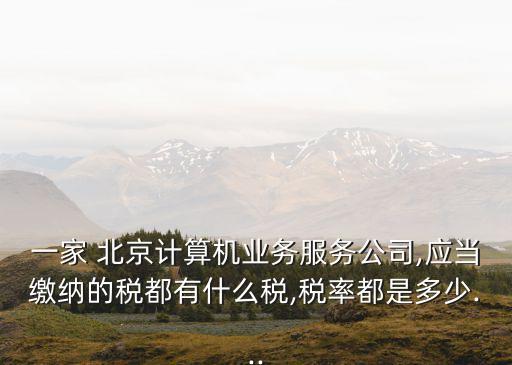 一家 北京計算機業(yè)務(wù)服務(wù)公司,應(yīng)當繳納的稅都有什么稅,稅率都是多少...