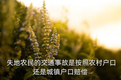 中國(guó)失地上的人民