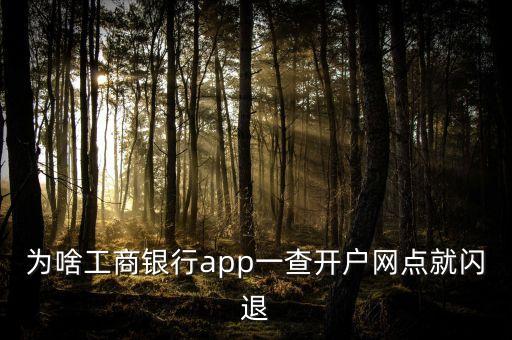 為啥工商銀行app一查開戶網(wǎng)點就閃退