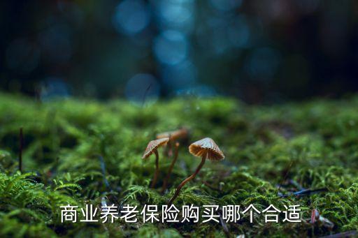  商業(yè)養(yǎng)老保險購買哪個合適