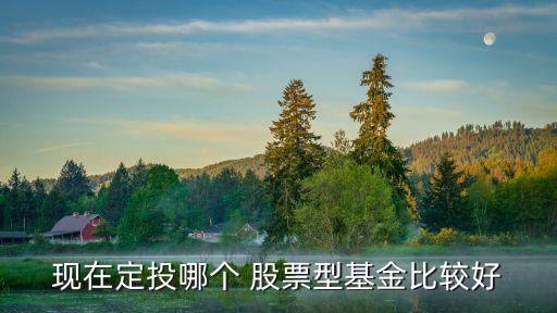 現(xiàn)在定投哪個 股票型基金比較好