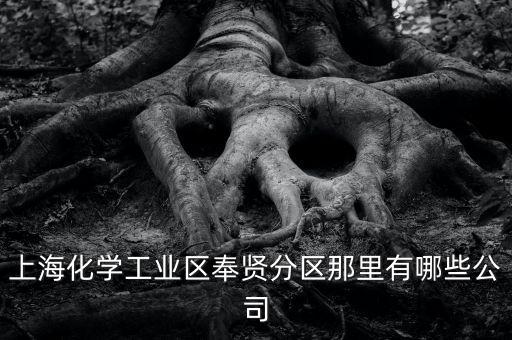 上?；瘜W工業(yè)區(qū)奉賢分區(qū)那里有哪些公司
