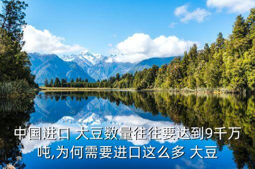 中國大豆進出口