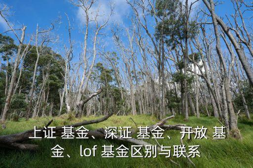  上證 基金、深證 基金、開(kāi)放 基金、lof 基金區(qū)別與聯(lián)系