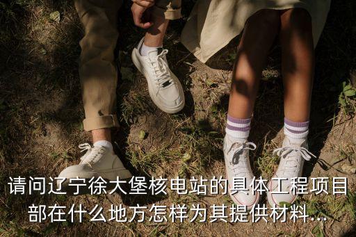 請問遼寧徐大堡核電站的具體工程項(xiàng)目部在什么地方怎樣為其提供材料...