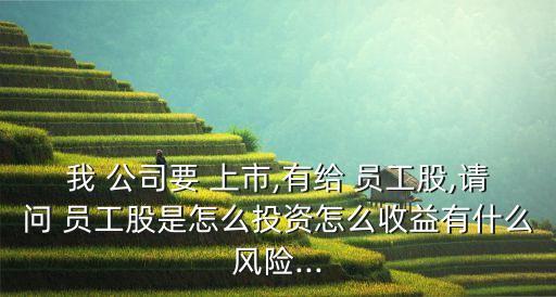 我 公司要 上市,有給 員工股,請問 員工股是怎么投資怎么收益有什么風險...