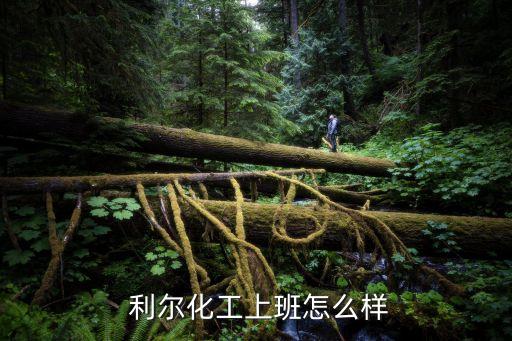  利爾化工上班怎么樣