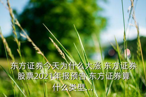  東方證券今天為什么大漲 東方證券 股票2021年報預告 東方證券算什么類型...
