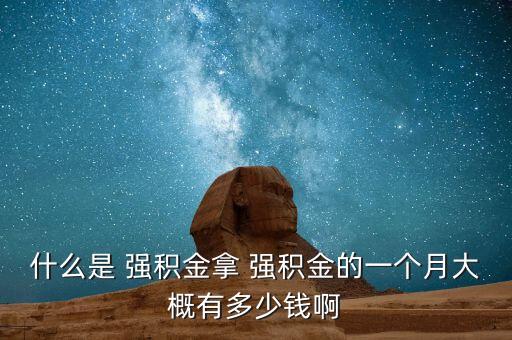香港強(qiáng)積金投資范圍