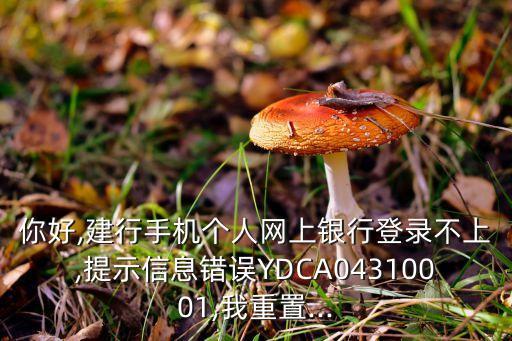 建設銀行平臺錯誤,1023838建設銀行錯誤