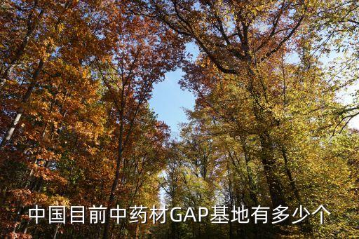 中國目前中藥材GAP基地有多少個(gè)