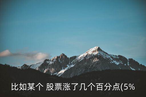 比如某個 股票漲了幾個百分點(5%