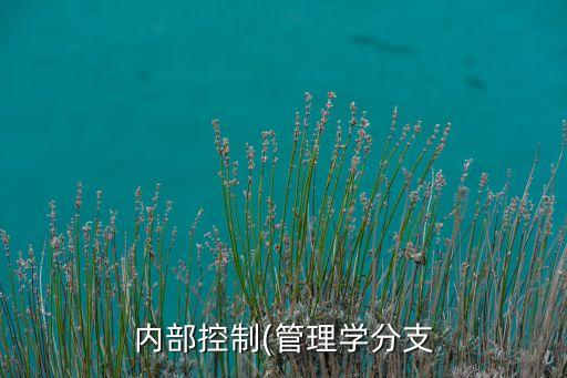 2013上市公司內控報告,上市公司內控評價報告是強制披露的嗎