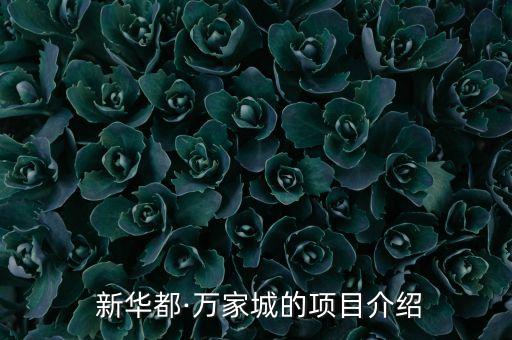  新華都·萬家城的項(xiàng)目介紹