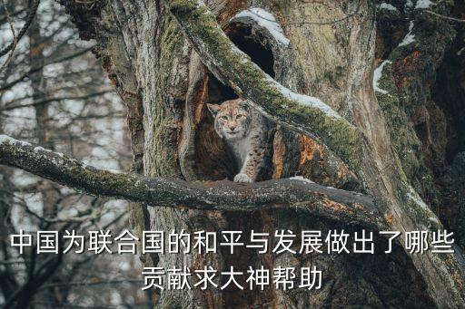 中國為聯(lián)合國的和平與發(fā)展做出了哪些貢獻(xiàn)求大神幫助