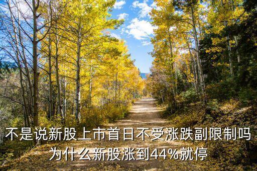 不是說新股上市首日不受漲跌副限制嗎為什么新股漲到44%就停