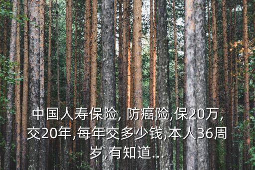 中國人壽保險(xiǎn), 防癌險(xiǎn),保20萬,交20年,每年交多少錢,本人36周歲,有知道...