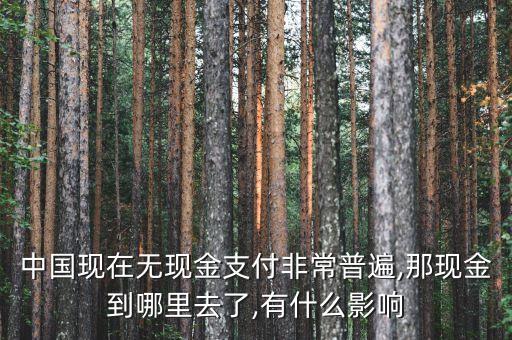 中國的錢都去哪了深度