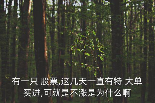 大單進(jìn)入股票卻不見漲