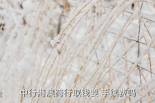 中行港澳跨行取錢要 手續(xù)費(fèi)嗎