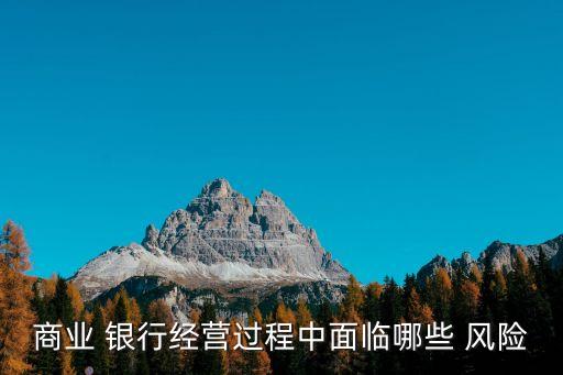 商業(yè) 銀行經(jīng)營過程中面臨哪些 風(fēng)險